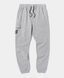 Штаны CAT MEN'S DM LOGO SWEATPANT Grey M 1080068-10122-M фото 1